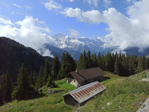 6 DE JULIO. RUTA A SCHYNIGE PLATTE. - De ruta en ruta por Suiza, 2023 (4)