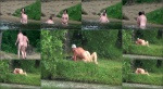 Nudebeachdreams Nudist video 01559