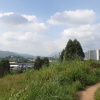 Hiking Tin Shui Wai 2023 July - 頁 2 YaylELgS_t