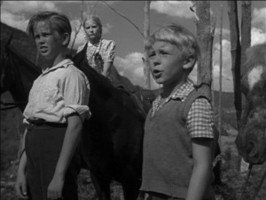 Bush Christmas 1947