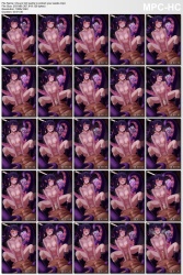 image host