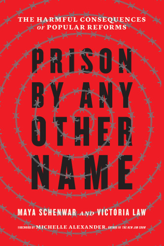 Prison by Any Other Name The Harmful Consequences of Popular Reforms by Maya Schenwar