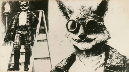 zyO2hxNK_t.png