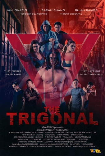 The Trigonal Fight For Justice 2018 1080p WEBRip x264-RARBG