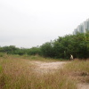 Hiking Tin Shui Wai 2023 July - 頁 2 1tN9F3wW_t