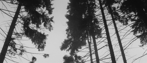 Movie cover image
