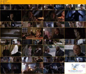 Final Judgement (1992)