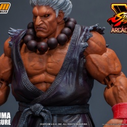 Street Fighter V 1/12ème (Storm Collectibles) - Page 3 9AdT1vo5_t