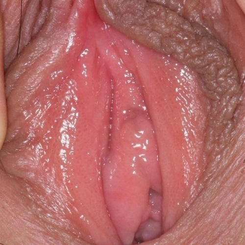 Nude vagina close up