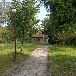 imgbox
