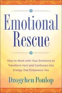 Emotional Rescue   How to Work with Your Emotions to Transform Hurt and Confusion