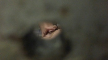 [Image: 5gmtfUeB_t.jpg]