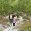 Hiking Tin Shui Wai - 頁 18 7e2PCmIF_t