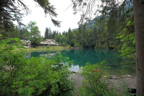 8 DE JULIO. LAGO BLAUSEE Y LAGO OESCHINENSEE - De ruta en ruta por Suiza, 2023 (3)