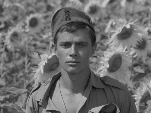 Movie cover image