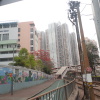 Tin Shui Wai Hiking 2023 - 頁 2 WoqxsY2Z_t