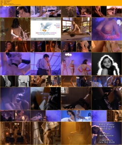 Playboy: Sexy Lingerie Vol.4 (1991)