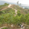 Hiking Tin Shui Wai - 頁 18 GeK1X1Iy_t