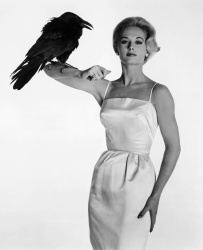 Tippi Hedren - The Birds (1963) Stills & Promotional Photos