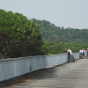 Hiking Tin Shui Wai - 頁 18 99RdaVbt_t