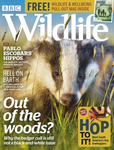 BBC Wildlife - May (2020)