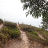 Hiking Tin Shui Wai 2024 XM6Cigtp_t