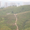 Hiking Tin Shui Wai 2023 July - 頁 3 ZU1GoR36_t
