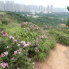 Tin Shui Wai Hiking 2023 - 頁 3 Z1UIfhsl_t