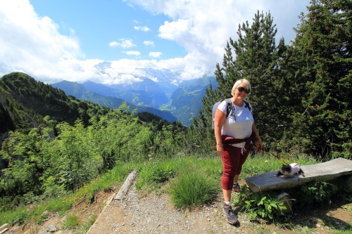 6 DE JULIO. RUTA A SCHYNIGE PLATTE. - De ruta en ruta por Suiza, 2023 (9)