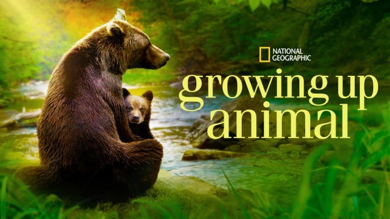 Growing Up Animal (2021-) • TVSeries