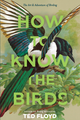 How to Know the Birds   The Art & Adventure of Birding
