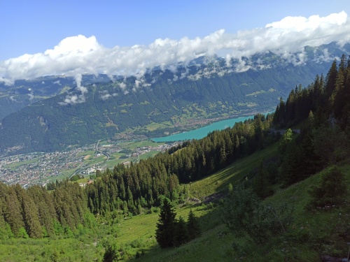 6 DE JULIO. RUTA A SCHYNIGE PLATTE. - De ruta en ruta por Suiza, 2023 (3)