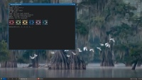 qAMSw62o_t.png