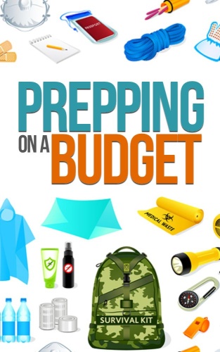 Prepping On A Budget How to Prepare, Survive, and Protect Your Loved Ones on A Bu...