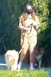 Aubrey Plaza - Walking her dogs in Los Angeles December 30, 2020