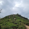 Hiking Tin Shui Wai 2023 July - 頁 3 TMgEg3sd_t