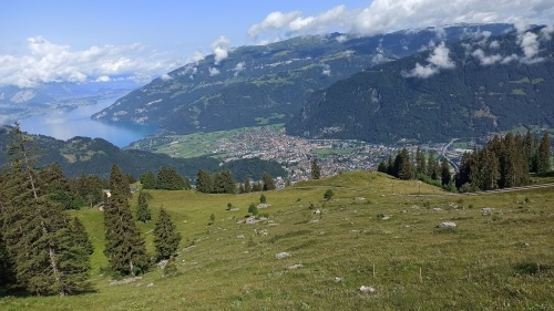 6 DE JULIO. RUTA A SCHYNIGE PLATTE. - De ruta en ruta por Suiza, 2023 (2)