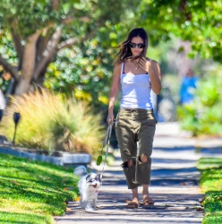 Rachel Bilson - Takes her new dog out on a walk in Studio City, August 11, 2021