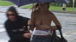 Czechav Tits in rain