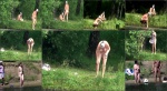 Nudebeachdreams Nudist video 01561