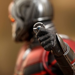 Ant-Man (Ant-Man & The Wasp) 1/6 (Hot Toys) 8jQqJbJE_t
