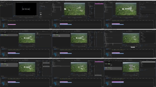The Beginners Guide to Adobe Premiere Pro Edit Like a Pro