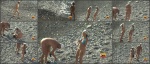 Nudebeachdreams Nudist video 00738