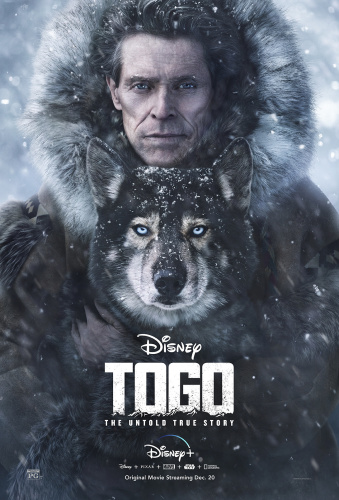togo 2019 internal 1080p web h264-cielos