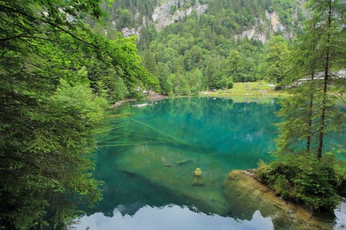 8 DE JULIO. LAGO BLAUSEE Y LAGO OESCHINENSEE - De ruta en ruta por Suiza, 2023 (2)