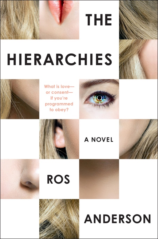 The Hierarchies A Novel