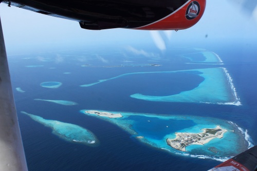 Maldivas 2022. Maafushivaru - Blogs de Maldivas - EXPERIENCIA EN LA ISLA (7)