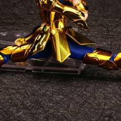 [Comentários] Saint Cloth Myth EX Aiolia de Leão Revival  6D4bbct0_t