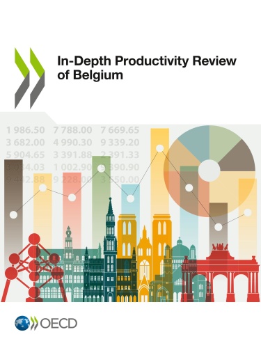In Depth Productivity Review of Belgium