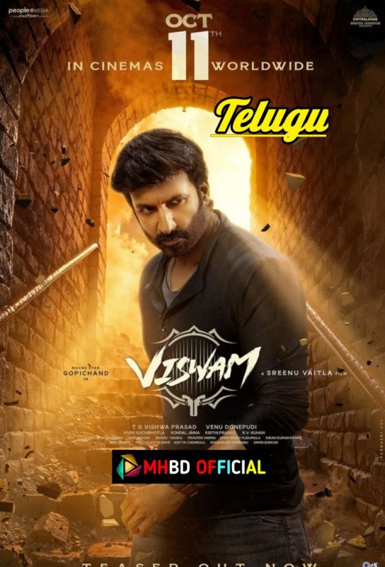 Viswam (2024) Telugu WEB-DL 480p & 720p & 1080p Click to Download [mhbd.xyz]